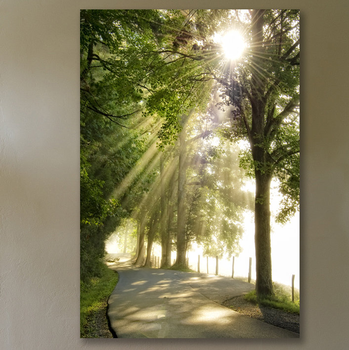 "matinée frais" par dano, reproduction de photo sur toile tendue, H 18 po x l 12 po x P 1,5 po