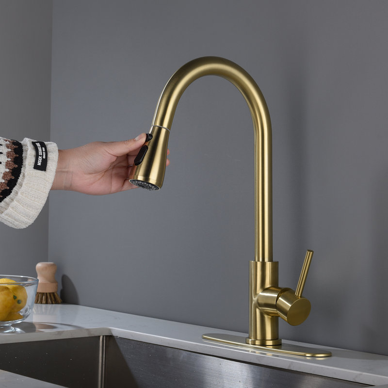 Robinet de cuisine rétractable à poignée simple avec accessoires, Or brossé