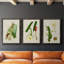 «Elegant Tropicals I», ensemble de 3 reproductions d'art sur toile-530225525-530225534