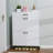 Marthalee Faux Wood Shoe Storage Cabinet-104716713