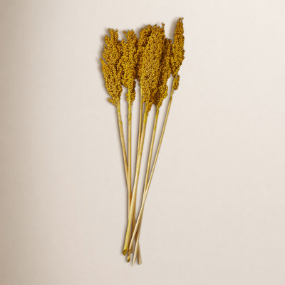 Clerkin Botanical Stems