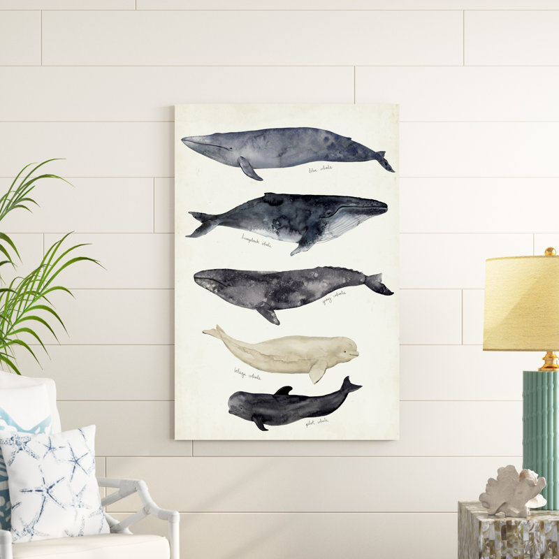 Carte des baleines II, H 48 po x l 32 po