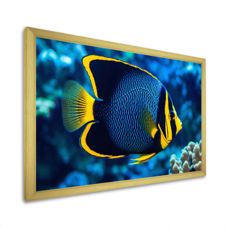 " Finned Fish Wonders II ", 12" H x 20" W x 1" D, Gold Single Picture Framed