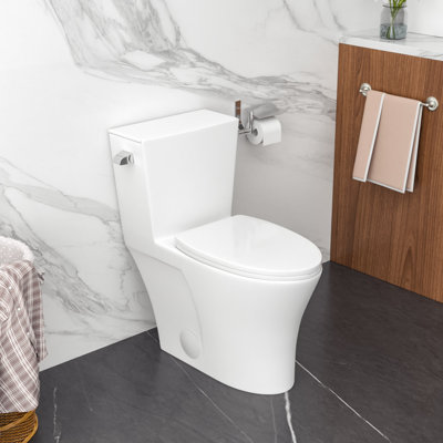 Siphonic Flush Elongated One Piece Toilets with Comfort Height Seat for Bathroom, 12 Inch Rough-In Toilet