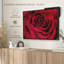 Velours rouge rosé sur toile-102860116