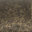 Distressed Antique Brass