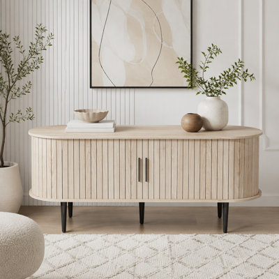 47" Modern TV Stand with Cabinet