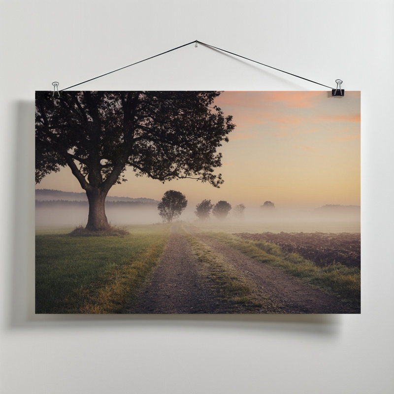 Wrapped Canvas Print, 50.8 cm H x 76.2 cm W