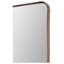 Birte Rectangle Metal Wall Mirror