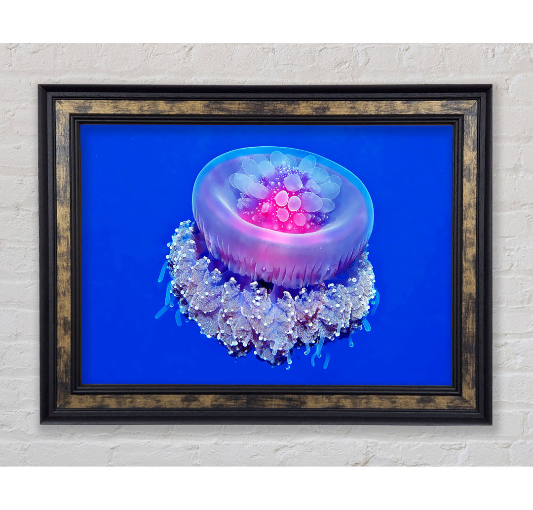 Gerahmtes Bild Jellyfish Pink