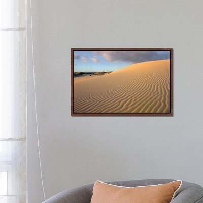 Sand Dune, Monahans Sandhills State Park, Texas 1 Piece Wall Art on Canvas