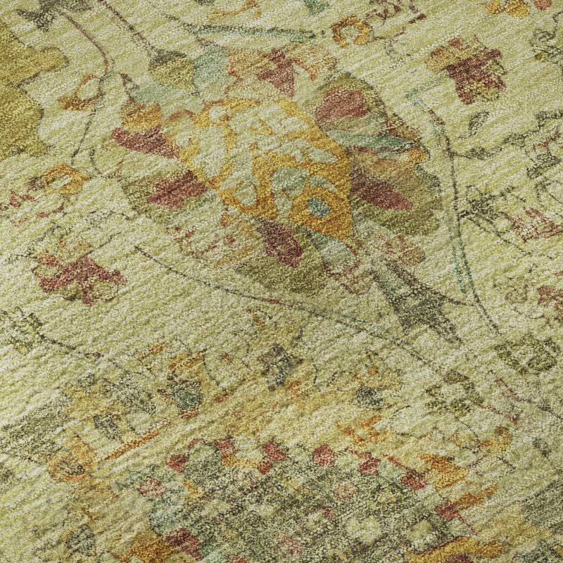 Premium Machine Washable Lucchesi AMF1732 Global Rug, Rectangle 10' x 14'