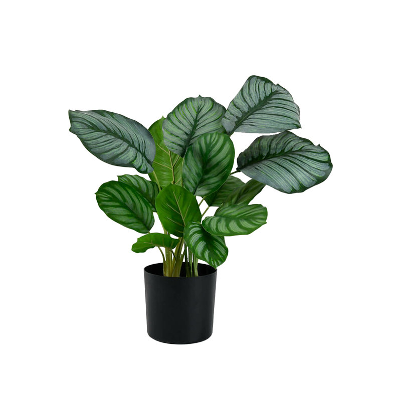 18'' Faux Prayer Plant Plant in Pot