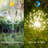 Solar Powered Integrated LED Pathway Light Pack-70596440