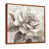Brown Floater Framed