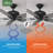 Newsome 52" 5 - Blade Traditional Indoor Ceiling Fan with Pull Chain-86753892