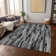 Machine Washable Indoor/Outdoor Chayil ACN1079 Gray Rug