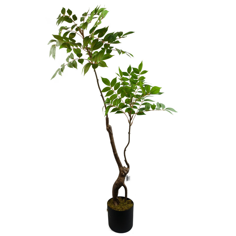 Anjeli Faux Foliage Plant in Pot, 110cm x 60cm