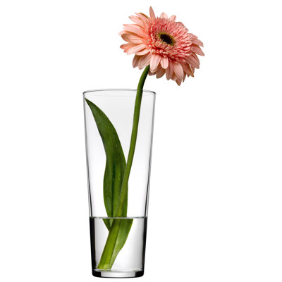 Glass Table Vase