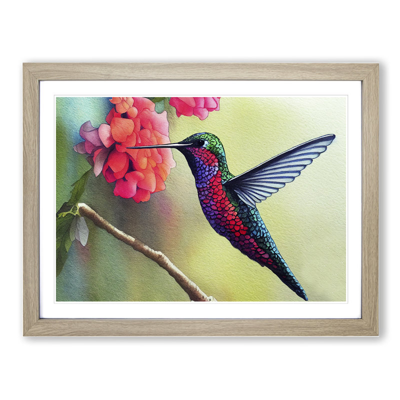Hummingbird Vol.6 - Single Picture Frame Print, 34cm H x 46cm W x 2cm D, Oak