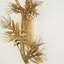 Albizia 3 - Light Design Wall Light