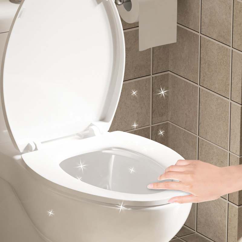 Comfortable Toilet With 17" Seat, 1.1/1.6 Dual Flush, Rimless Sanitary Basin, Quiet Gloss White 006 For Bathroom One Piece Hygienic Ceramic Silent