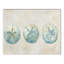 Sand Dollars sur toile-127022125