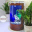 Aquarium 85-95 gallons-1905363727-1905363726