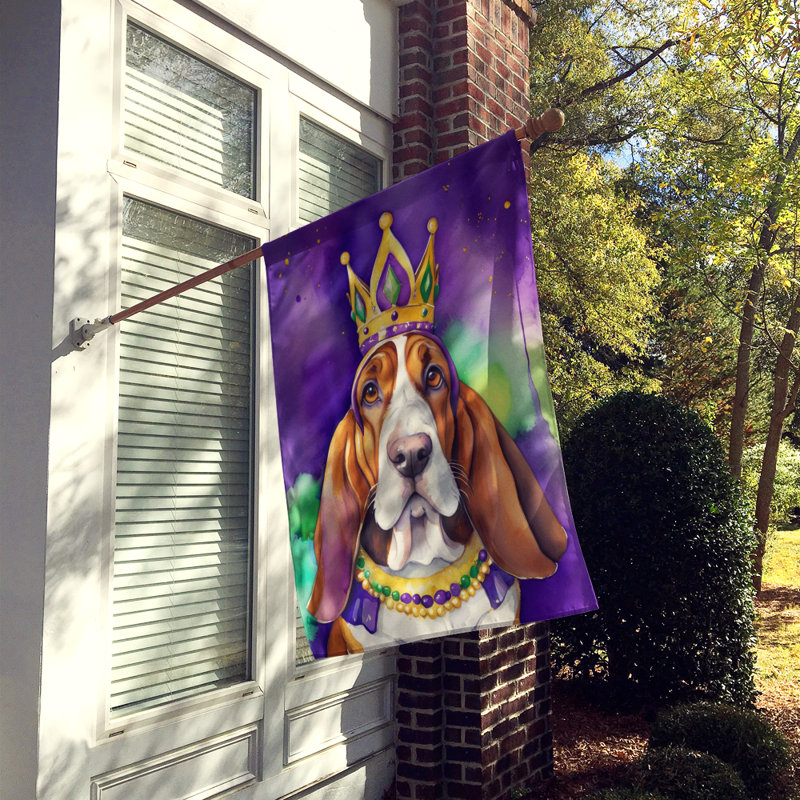 Double Sided 40'' H x 28'' W Polyester Mardi Gras House Flag