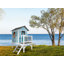 Lodge AXI 261cm W x 167cm D Outdoor Hemlock Wood Playhouse-1644629500