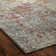 Oriental Area Rug in Gray