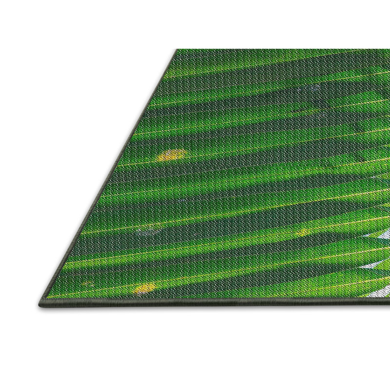 Tapis vert, Rectangle 8 pi x 10 pi