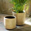 La Boheme Rattan Planter