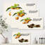 Rétro fruits IV - reproduction sur toile tendue-59649864