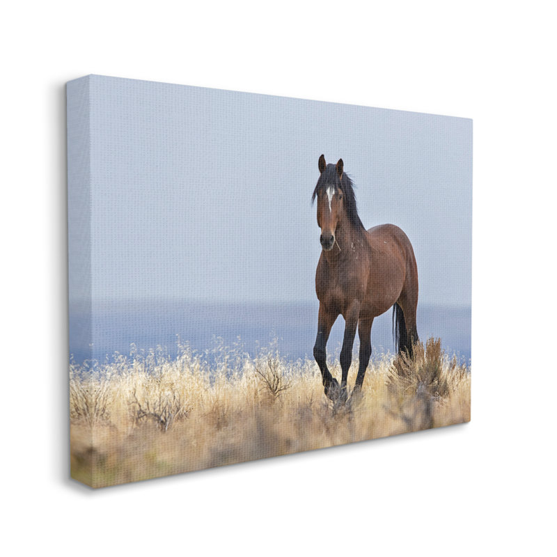 Cheval équestre dans une campagne sauvage, ciel bleu doux par - impression, Toile tendue, H 30 po x l 40 po x P 2 po