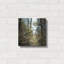 «Spring» par Kelly Sinclair-2130533541