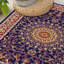 Alberga Oriental Area Rug-57256962