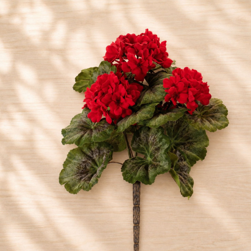 Geranium buisson floral (ensemble de 2)