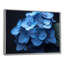 Nirvana bleu, bleu, hortensia, art mural-337178078-337178071