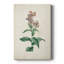 Traditional Botanical II - galerie sur mesure Cavas-421630884
