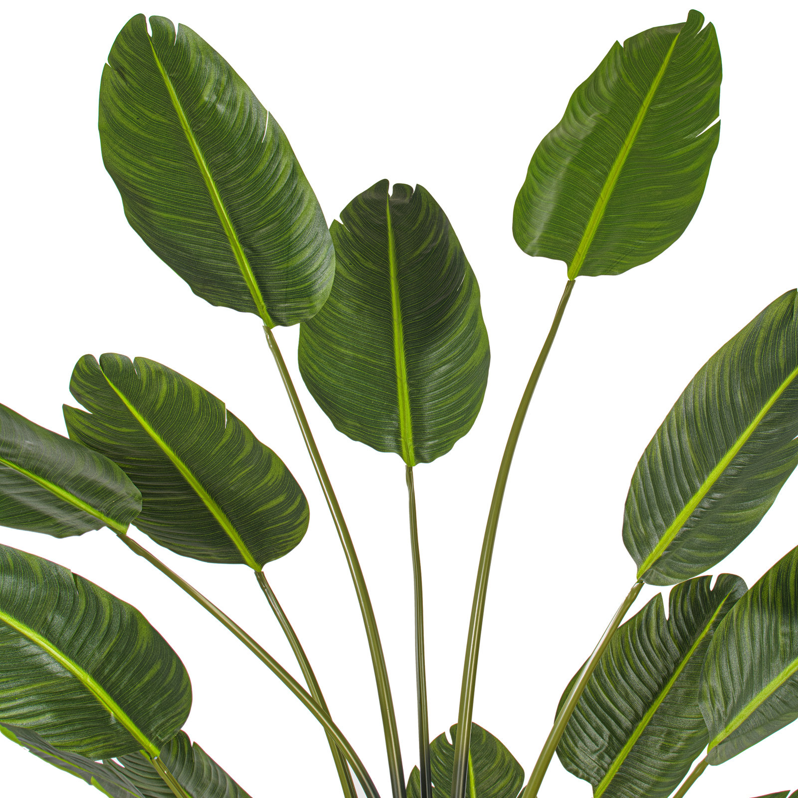 Jorah Palm Tree with Base Included, 84" H x 30" W x 30" D