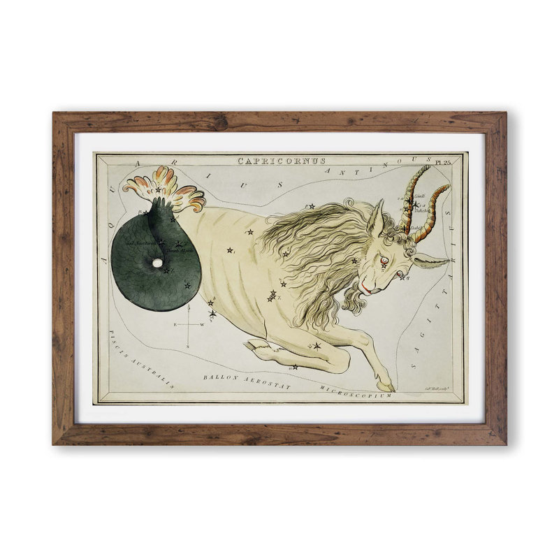 Astronomical Zodiac Chart Of The Capricorn - Single Picture Frame Print, Walnut, 33cm H x 45cm W x 2cm D