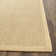 Coppedge Plain Area Rug