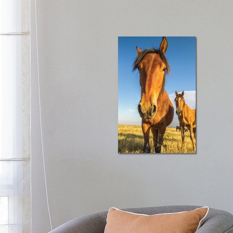 USA, Utah, Tooele County. Wild Horses Close-up. by Jaynes Gallery - Wrapped Canvas Gallery-Wrapped Canvas Giclée