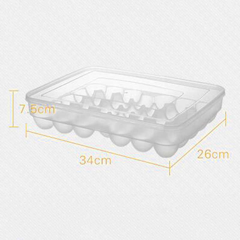 Organisateur de réfrigérateur à œufs en plastique - 34 grilles, transparent