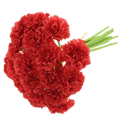 32 cm H Carnation