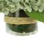 Cream Hydrangea in Rope Glass Vase-356774887