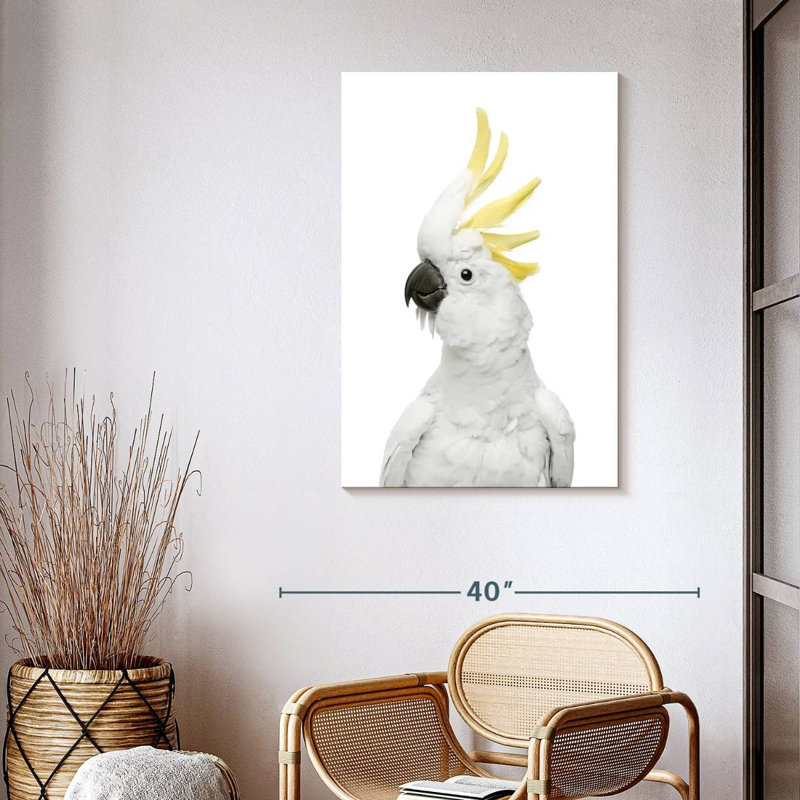 Cool cacatoès sur toile, H 39 po x l 26 po x P 1,25 po
