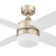 Frittelli 44'' Ceiling Fan with LED Lights and Remote Included