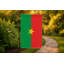 Drapeau du Burkina Faso — Drapeau extérieur-1478885000